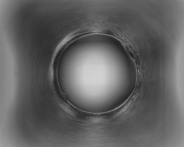 X0000112750246200908201423