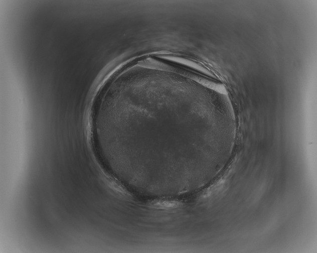 X0000112750247200908201423