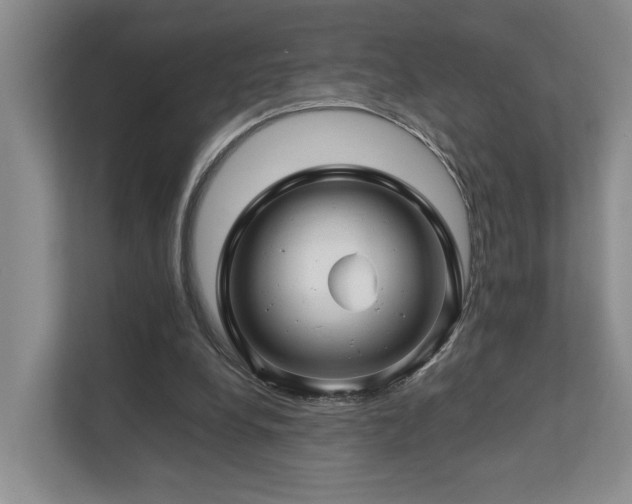 X0000112750248200908201423