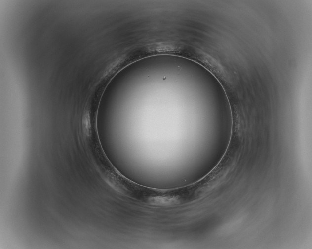 X0000112750251200908201423