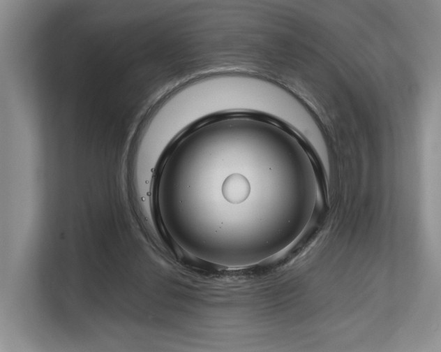 X0000112750252200908201423