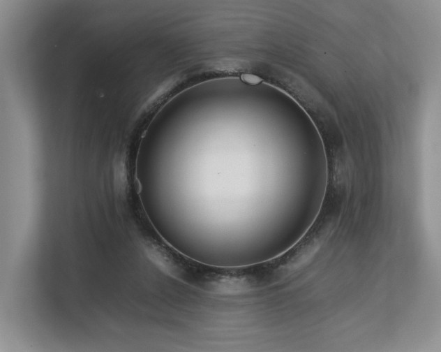 X0000112750256200908201423