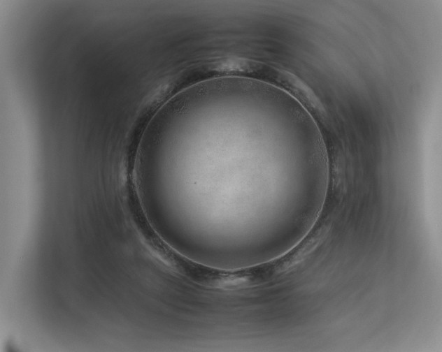 X0000112750257200908201423