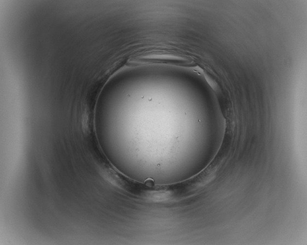 X0000112750266200908201424