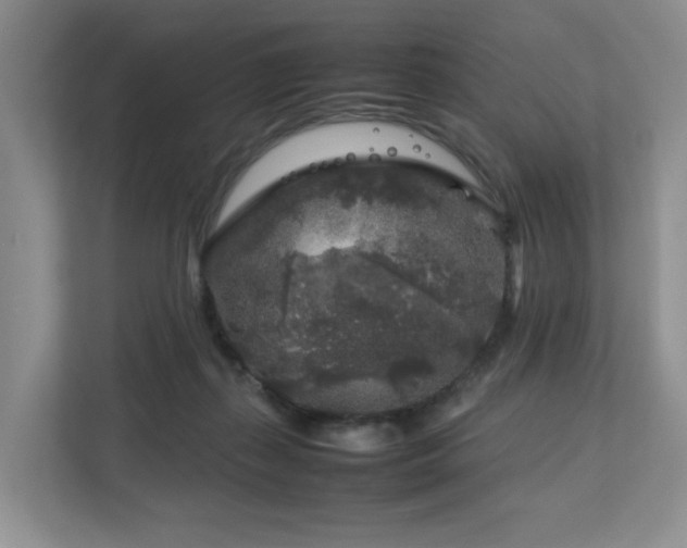 X0000112750267200908201424