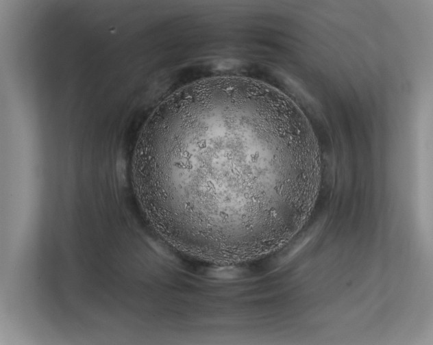 X0000112750269200908201424