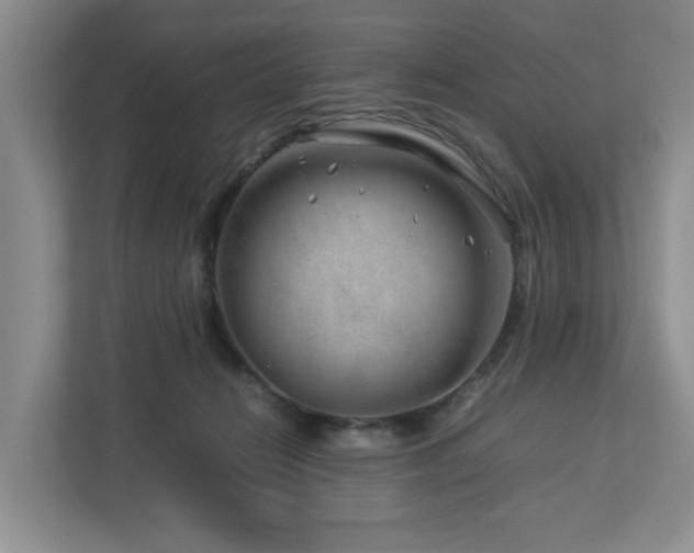 X0000112750270200908201424