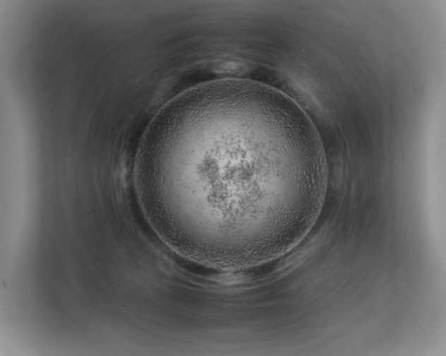 X0000112750273200908201424