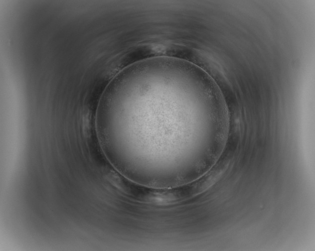 X0000112750275200908201424