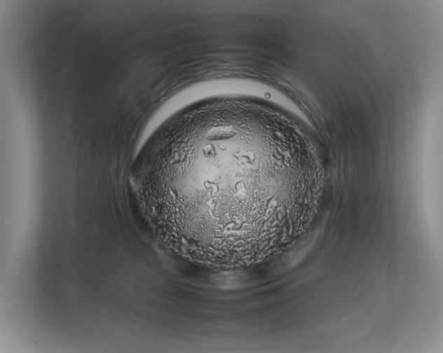 X0000112750277200908201424