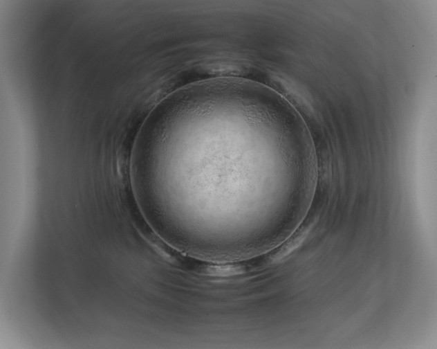 X0000112750281200908201424