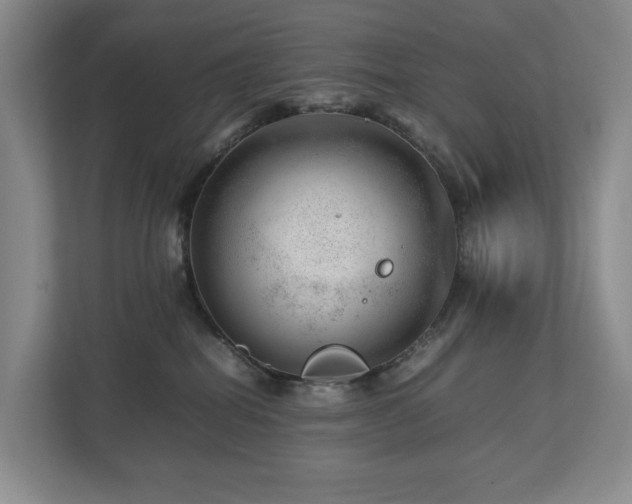 X0000112750282200908201424