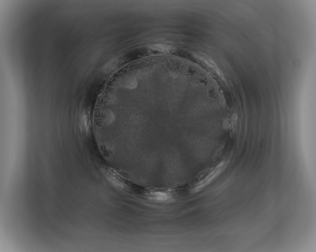 X0000112750285200908201424