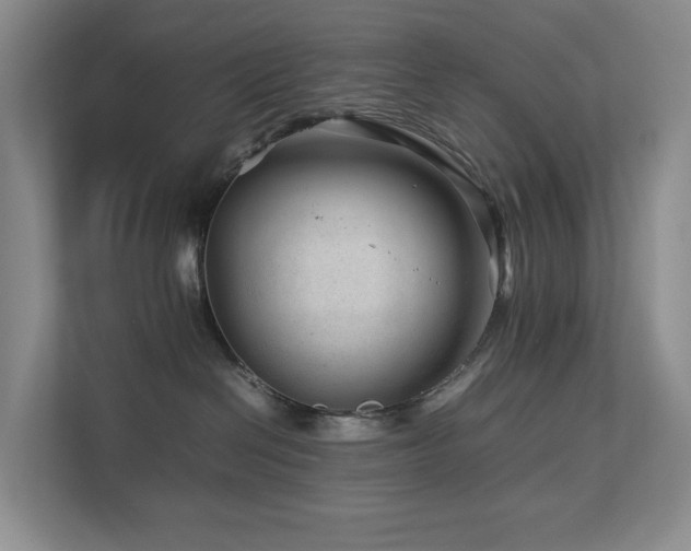 X0000112750286200908201424