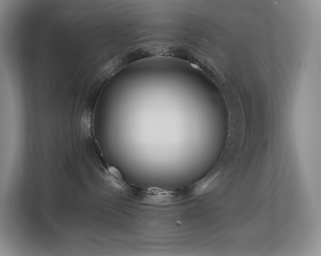 X0000112750288200908201424