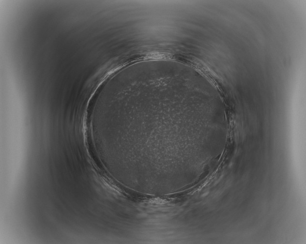 X0000112750290200908201423