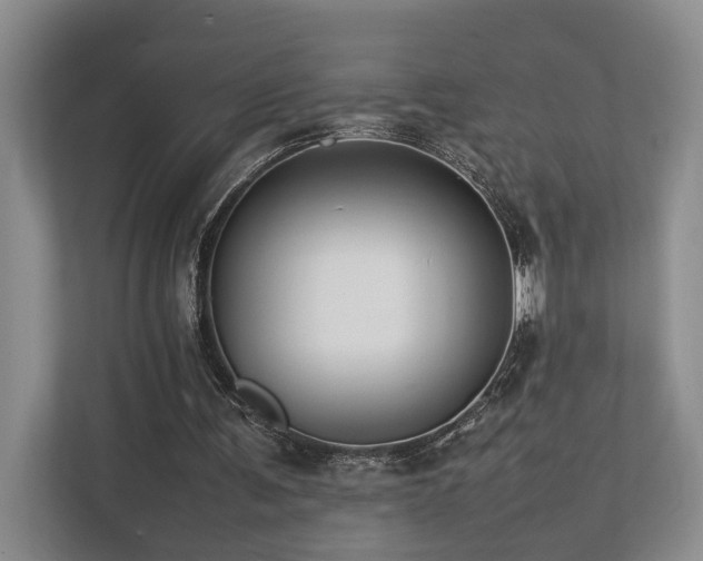 X0000112750291200908201423