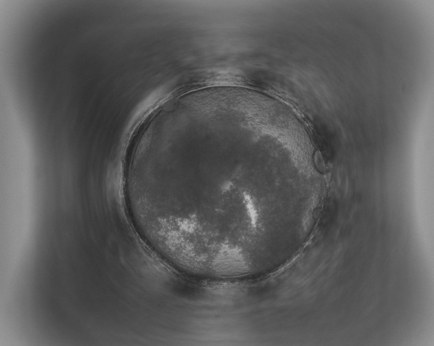 X0000112750293200908201423