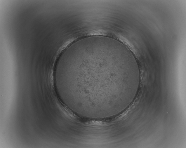 X0000112750298200908201423