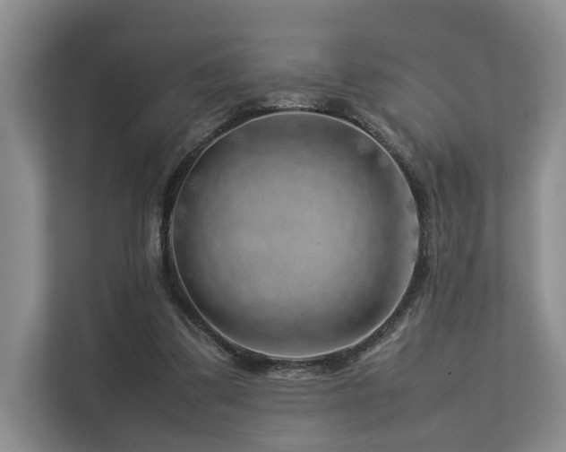 X0000112750299200908201423