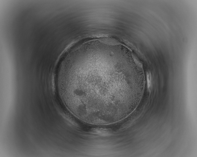 X0000112750300200908201423