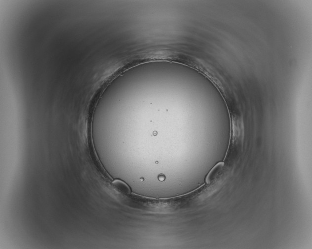 X0000112750301200908201423