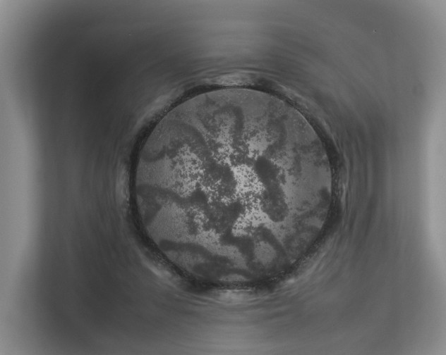 X0000112750303200908201423