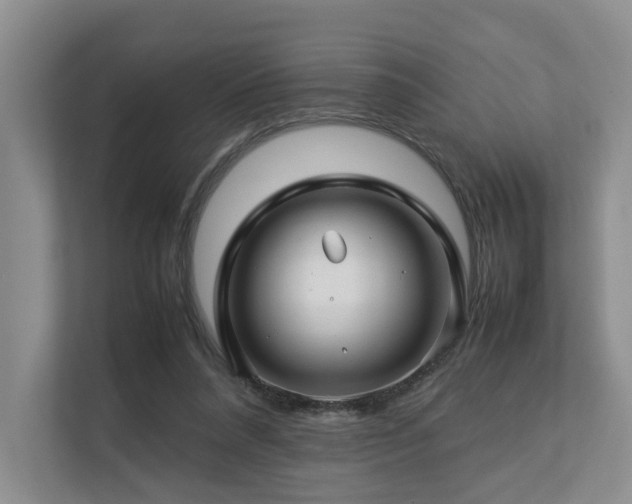 X0000112750304200908201423