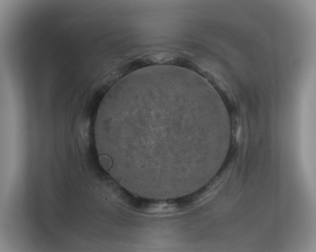 X0000112750319200908201423