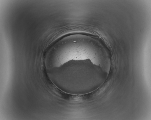 X0000112750325200908201423