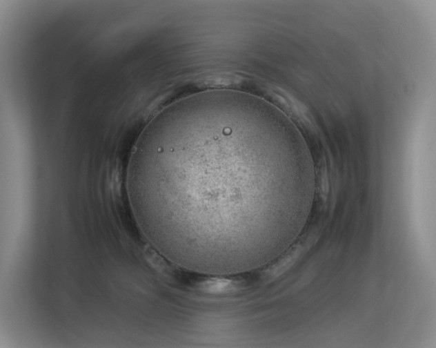 X0000112750326200908201423