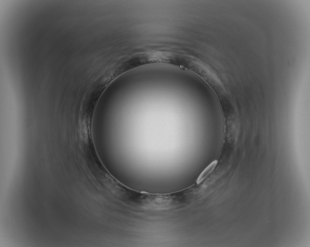 X0000112750329200908201423