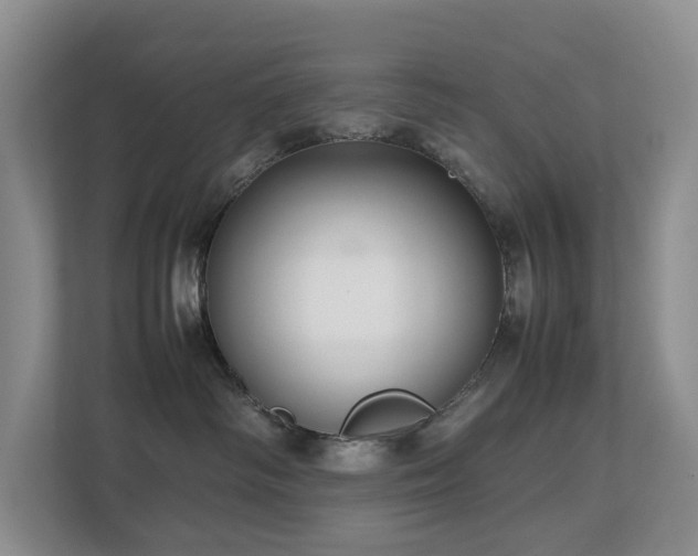 X0000112750334200908201423