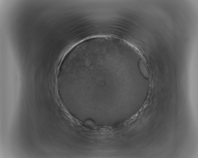 X0000112750337200908201422