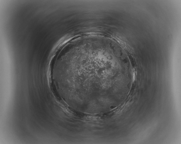 X0000112750339200908201422