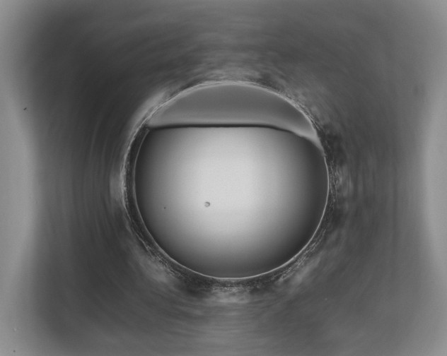 X0000112750340200908201422