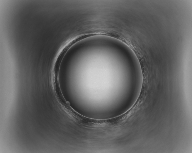 X0000112750342200908201422