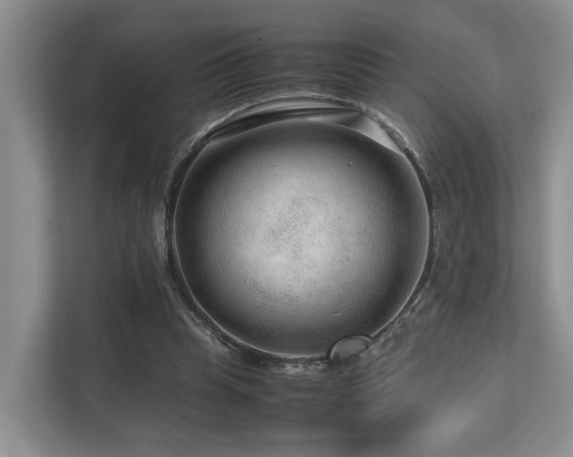 X0000112750345200908201422