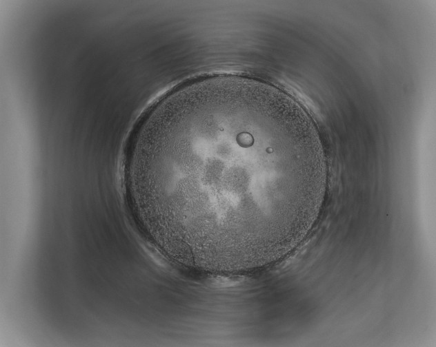 X0000112750346200908201422