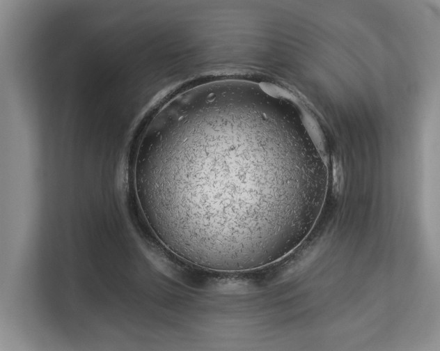 X0000112750348200908201422