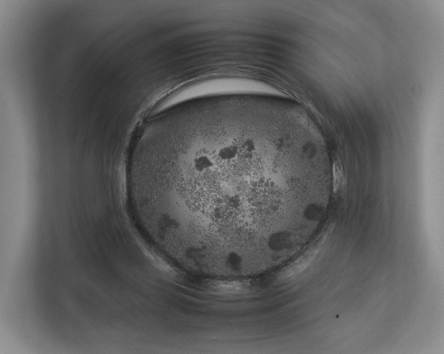 X0000112750349200908201422