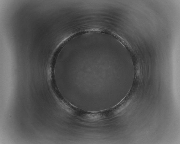 X0000112750351200908201422