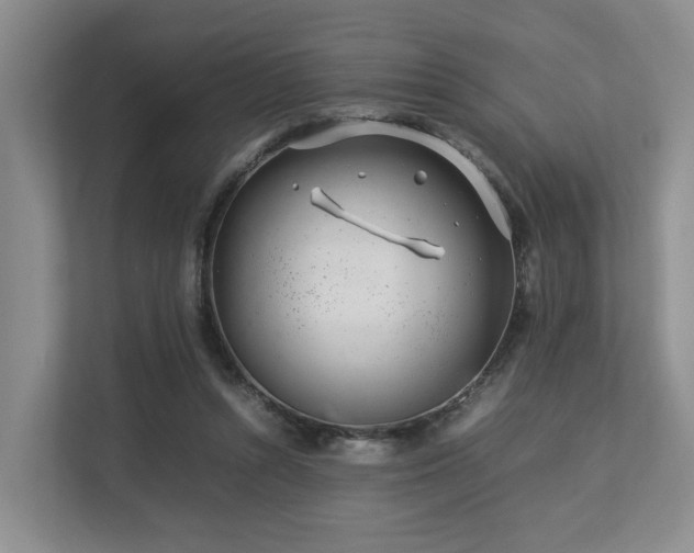 X0000112750352200908201422