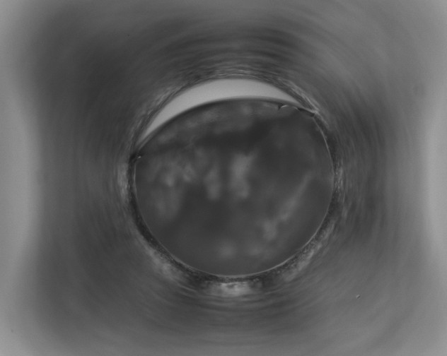 X0000112750353200908201422