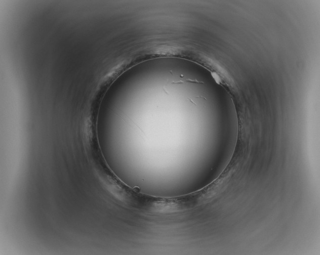 X0000112750354200908201422