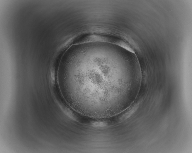 X0000112750358200908201422