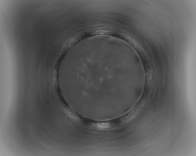 X0000112750361200908201422