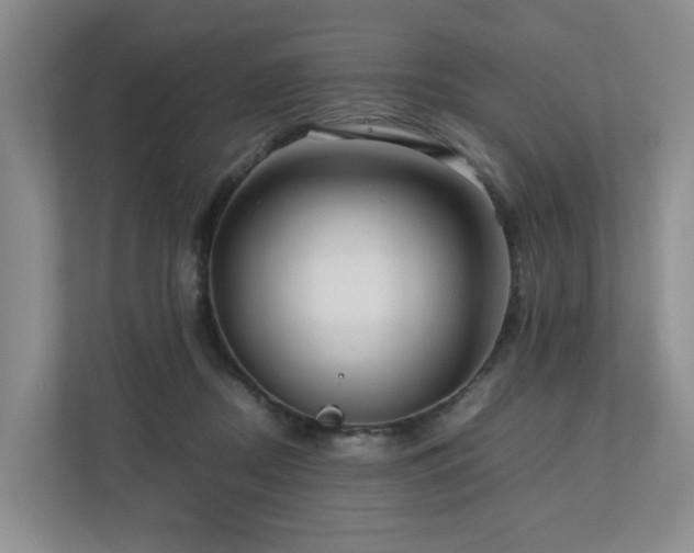 X0000112750362200908201422