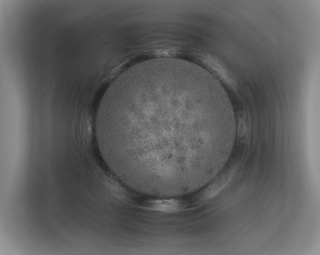 X0000112750363200908201422