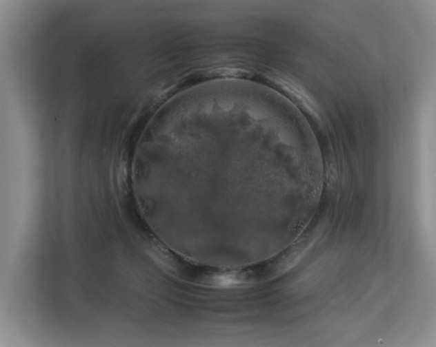 X0000112750365200908201422